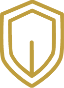Icon Lifetime Workmanship